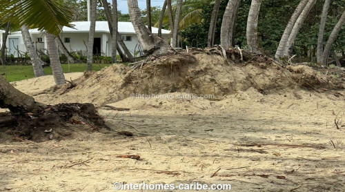 photos for SABANETA DE YASICA: THE LAST LOT WITH DIRECT BEACH LOCATION ON THE NATURAL LA BOKA BEACH